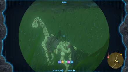 骨の馬はPM9時以降に公園西側に出現