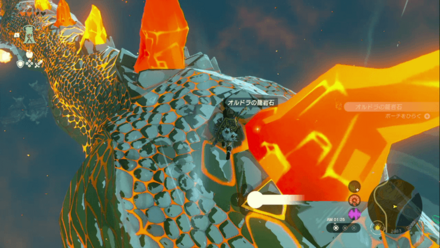 オルドラの背中から採取