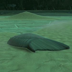 クィンギブドの巨大羽画像