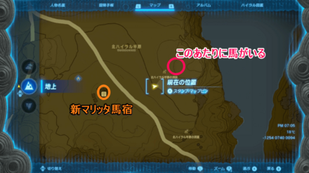 野生の馬を手なづけて連れてくる