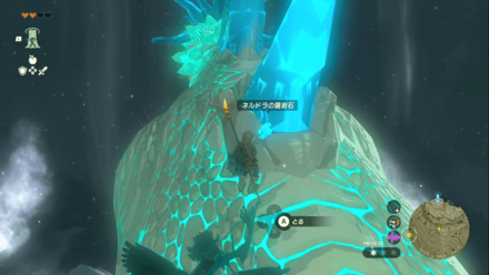 ネルドラの背中から採取