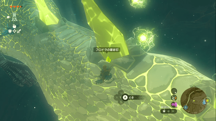 フロドラの背中から採取