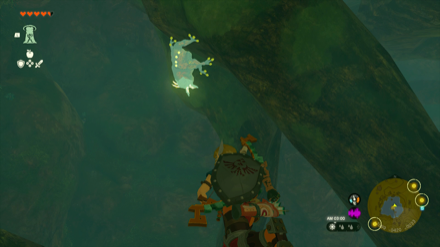 朽ちた千年樹の洞窟のマップ