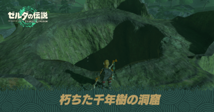 朽ちた千年樹の洞窟