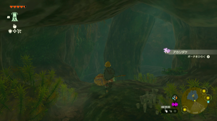 進んだ先にある樹を登りきる