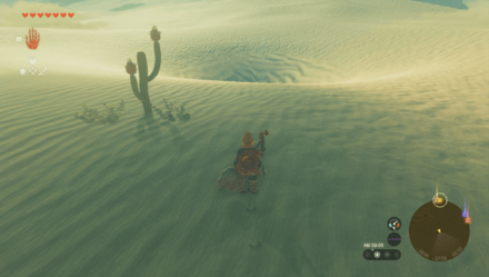 中央ゲルドの洞窟の入り口画像