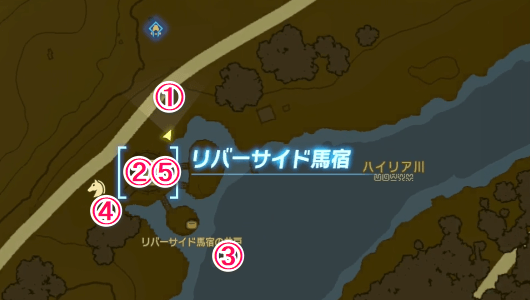 5羽のコッコの場所