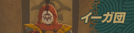 イーガ団