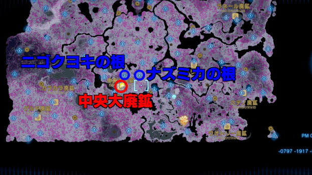 イーガ団総長コーガ様の陰謀！の受注場所マップ