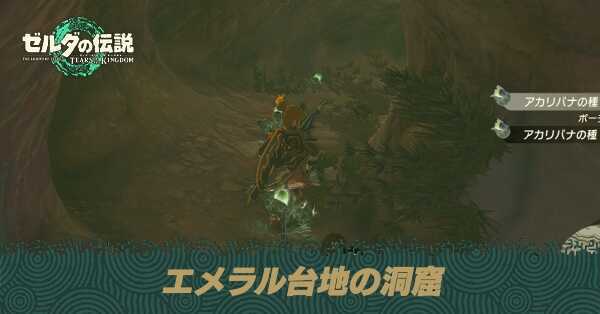 エメラル台地の洞窟