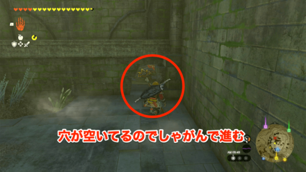 壁に空いている穴に入る