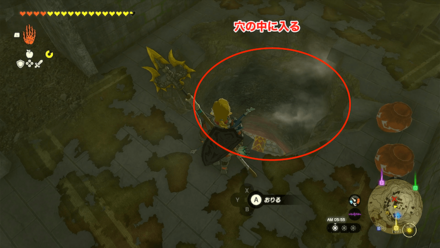 地面の穴に入る