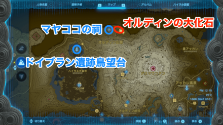 ヘブラの大化石画像