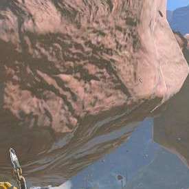 夜光イワロック