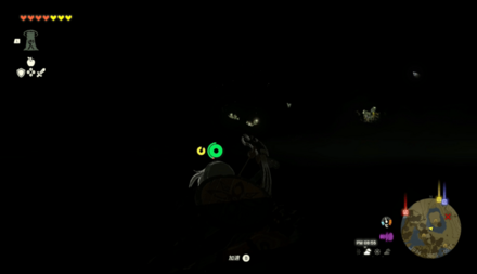 中が暗いのでアカリバナで照らしながら進もう