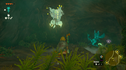 牧場跡の洞窟のマップ