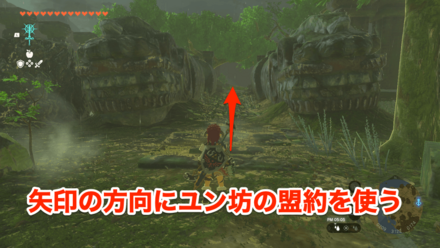 二つの龍の見た目