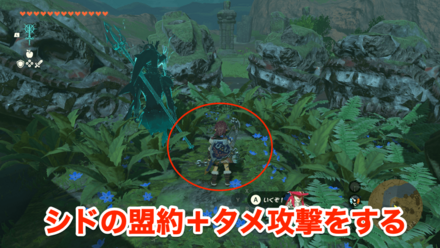 六つの龍の見た目