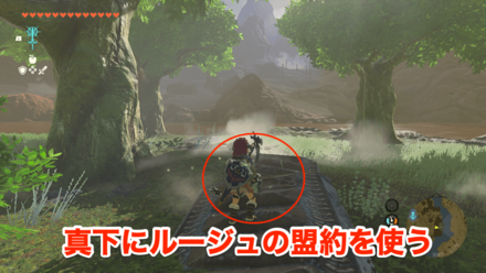 守護龍の見た目