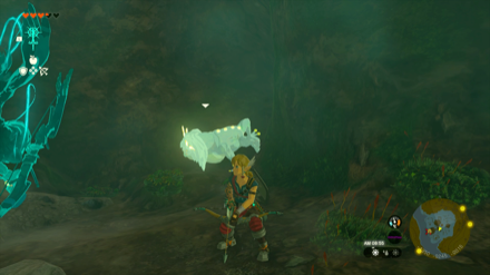 賢者の神殿地下の洞窟のマップ