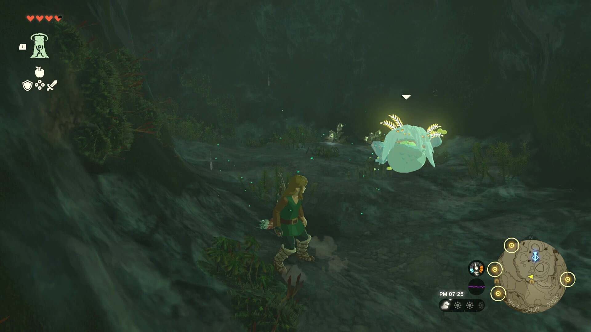 ゾラ台地頂の洞窟のマップ