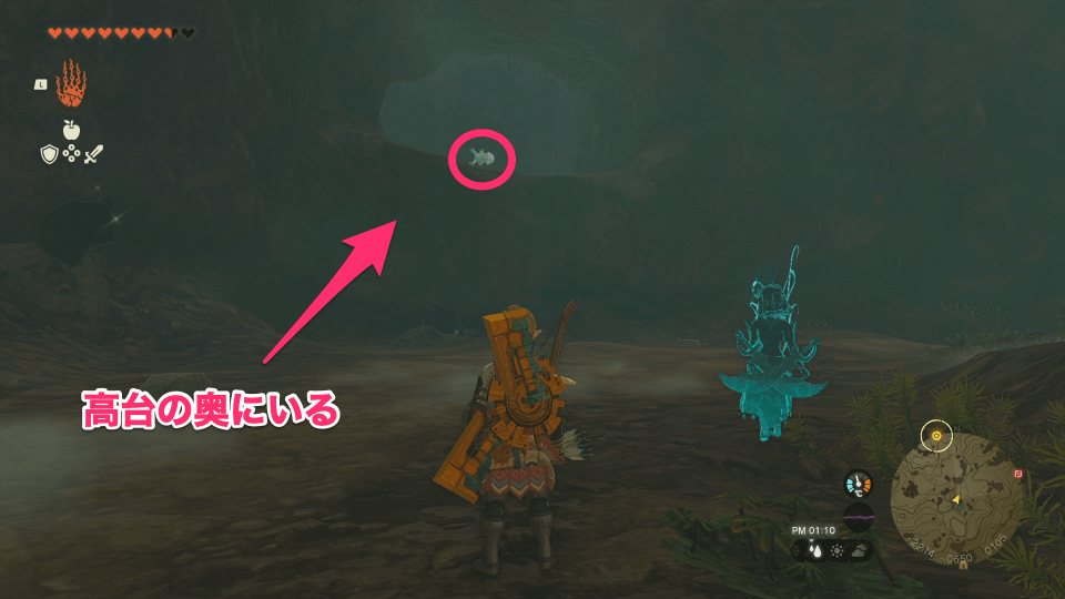 サトリ山麓の洞窟のマップ