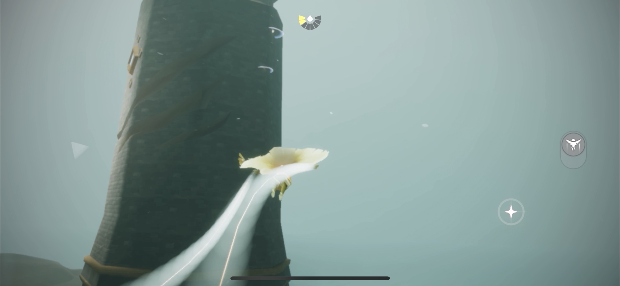 クラゲに乗る