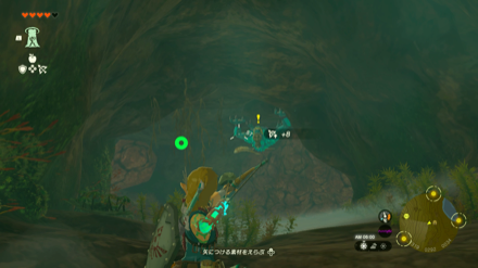 青ホラブリンを倒す