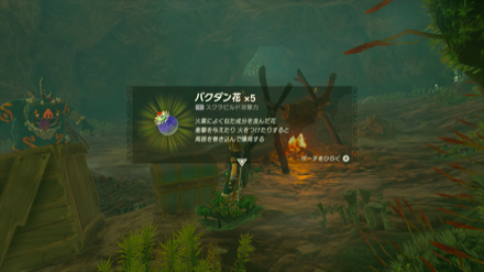 青ボスボコブリンがいるエリアの宝箱