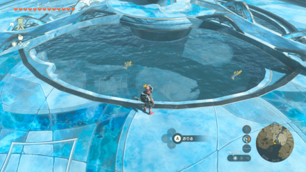 ムカシアロワナの入手場所