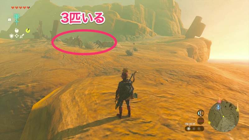 火吹きリザルフォスたち