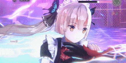 SS小笠原緋雨(メイド)の評価とスキル