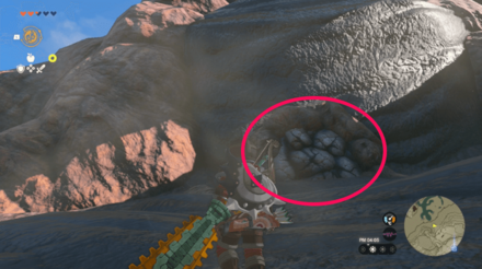 トカゲの隠れ穴の場所