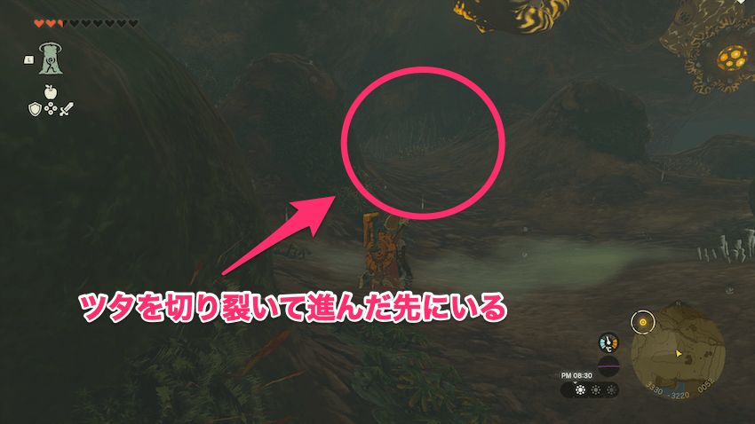 ダスキーダ山の洞窟のマップ