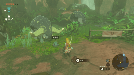 夜光石の食べさせ方