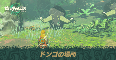 ドンゴの場所