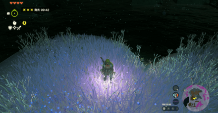 アカリ薬を使った状態