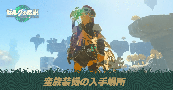 ゼルダの伝説 ブレワイ・ティアキン　やり込みセット