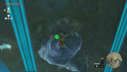 奥に流れている滝の左下の足場に居る