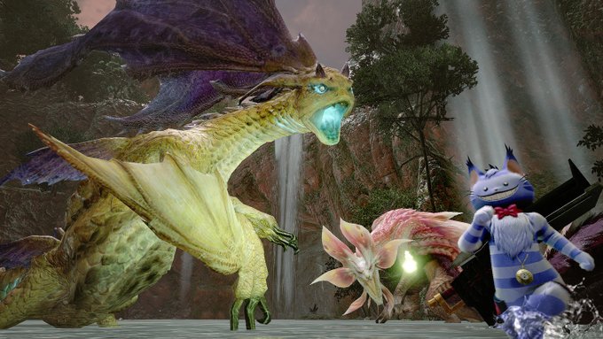 不思議な猫？からの贈り物