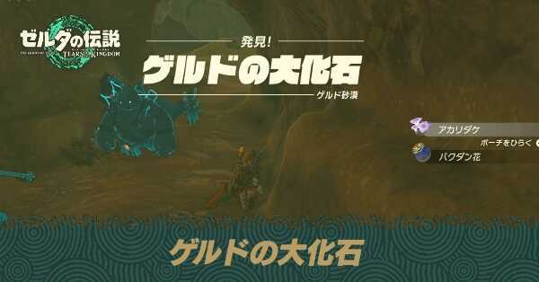 ゲルドの大化石