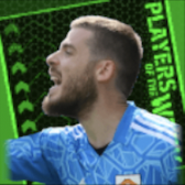 TPダビドデヘア(05/25)画像