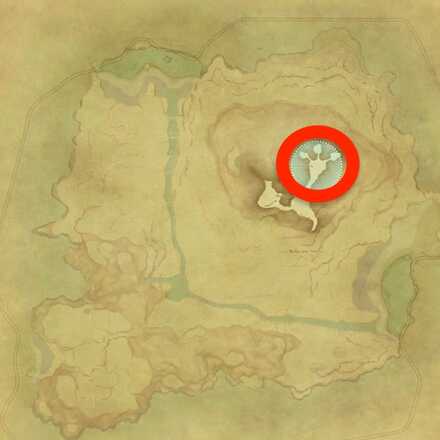 無人島のトモシビタケの画像