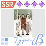 【スターターコレクション】TypeBの画像