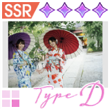 【スターターコレクション】TypeDの画像