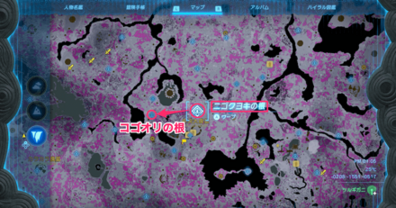 コゴオリの根の行き方