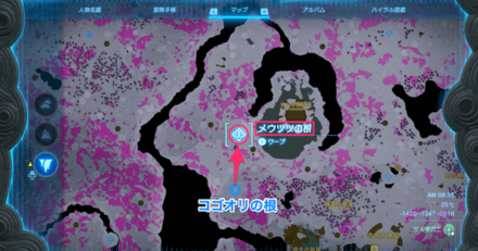 コゴオリの根からメウツツの根