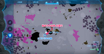 ニゴクヨキの根の行き方