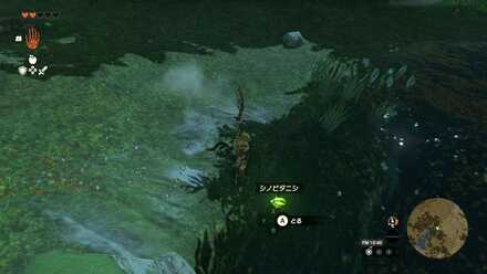 シノビタニシは発光する