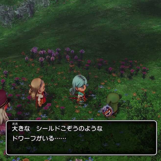 大きなシールドこぞうの場所詳細